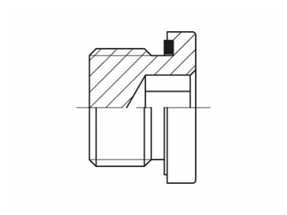 Blindplugg 3/4" BSPP m. pakning