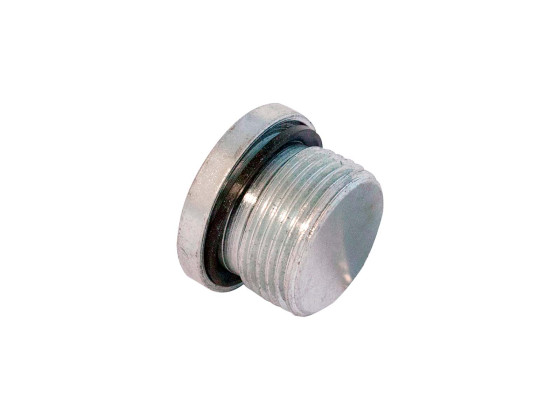 Blindplugg 3/4" BSPP m. pakning