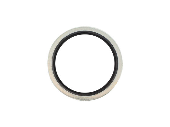 Skive med pakning B S 1 1/2" - 56010124