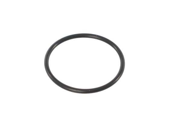 o-Ring 020 2087 021,95x1,78 - GOR0200000