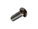 Unbrakobolt rustfri M8x20mm BH - .