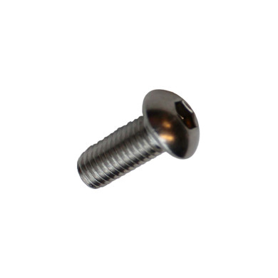 Unbrakobolt rustfri M8x20mm BH - .