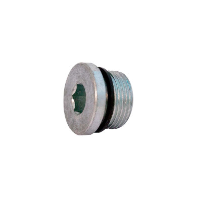 Blindplugg 3/4" BSPP m. pakning