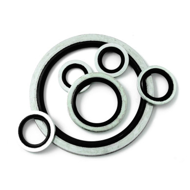 Skive med pakning B S 1/4" - 56010104