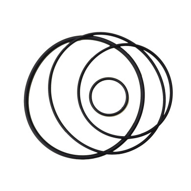 Padoan ring filtertopp t/905784