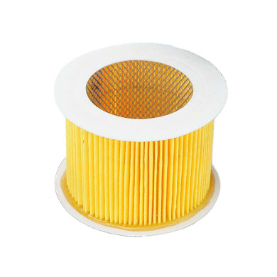 Padoan Luftfilterindsats - AFA0CARCILTOP10